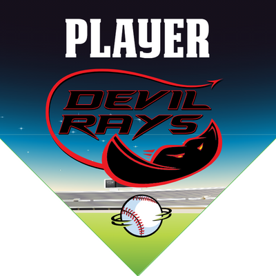 Devil Rays 2 - Home Plate Softball Pennant