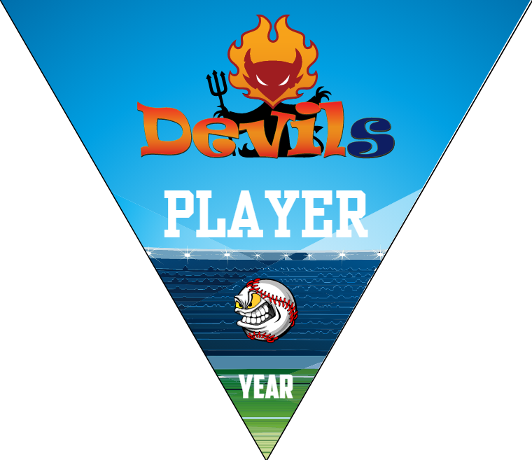 Devils - Triangle Softball Pennant