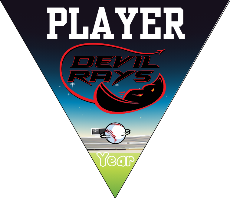 Devils Rays - Triangle Softball Pennant