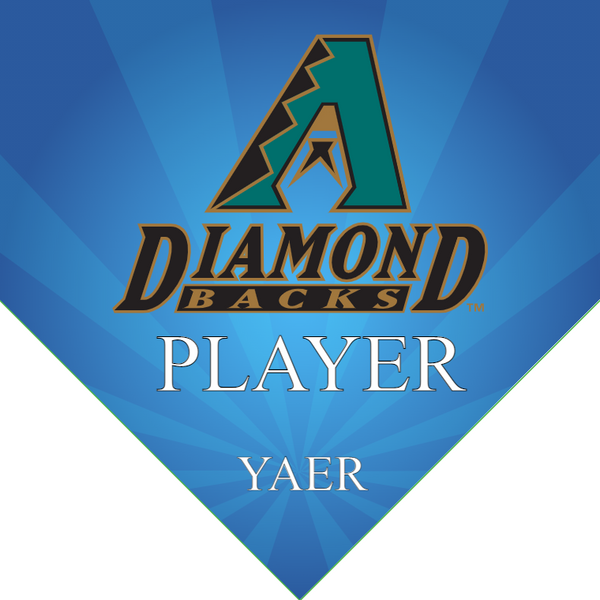 Arizona Diamondbacks 10 - Home Baseball Banners