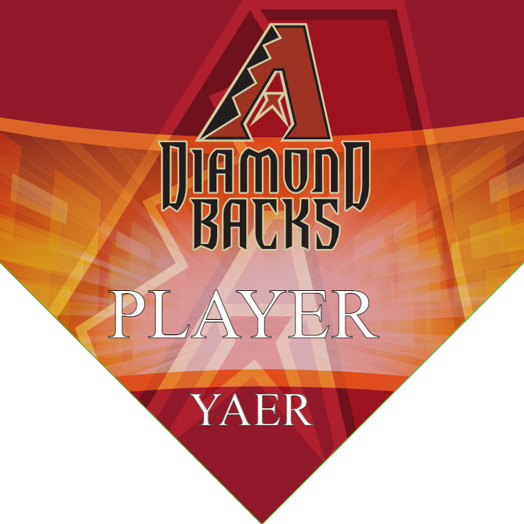 Diamond Backs 7 - Home Baseball Banners