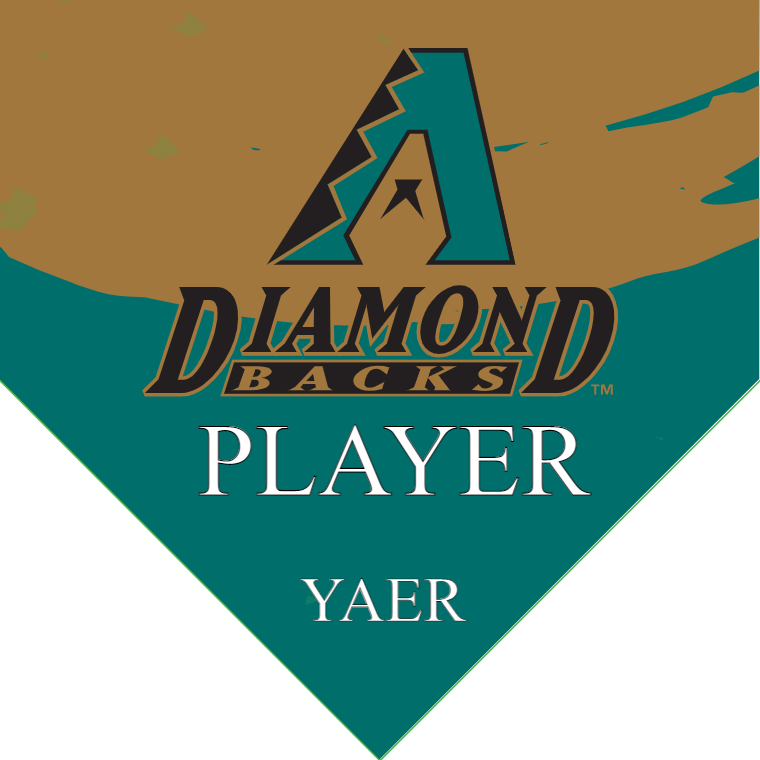 Diamond Backs 9 - Home Baseball Banners