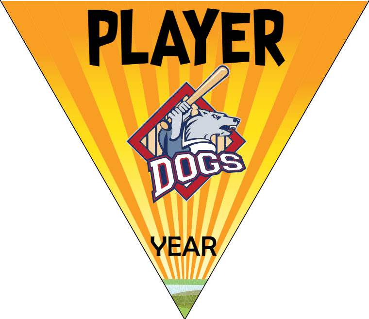 Dogs - Triangle Softball Pennant