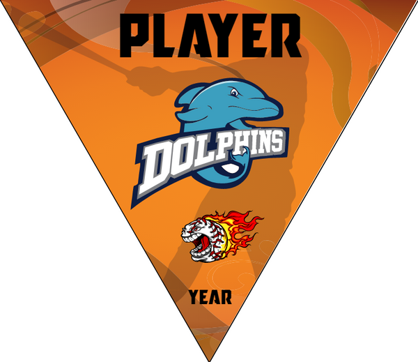 Dolphins - Triangle Softball Pennant