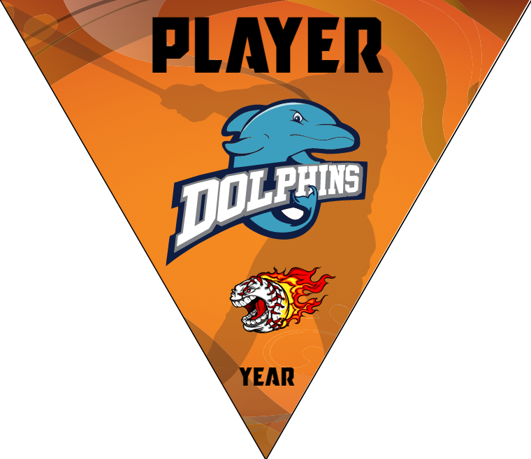 Dolphins - Triangle Softball Pennant