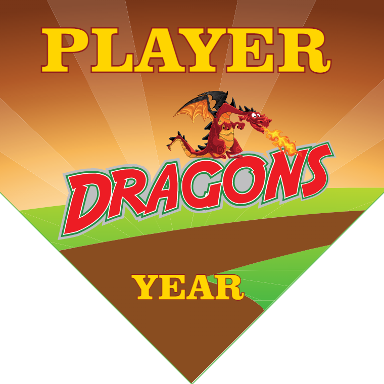 Dragons - Home Plate Softball Pennant