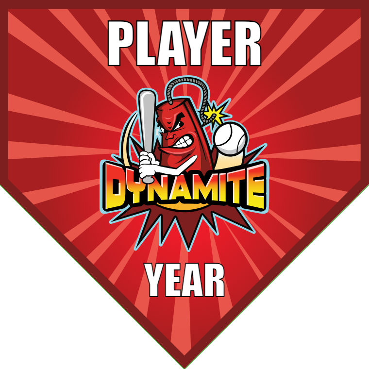 Dynamite 2 - Home Plate Softball Pennant