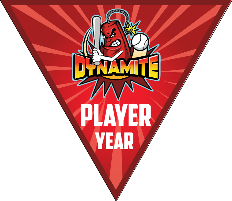 Dynamite 2 - Triangle Softball Pennant