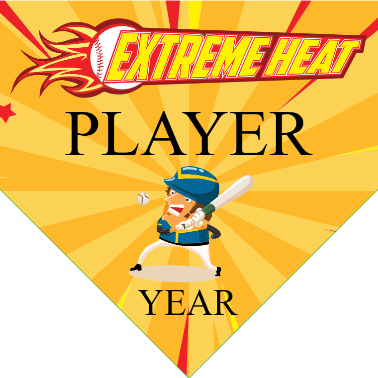 Extreme Heart 3 - Home Plate Softball Pennant