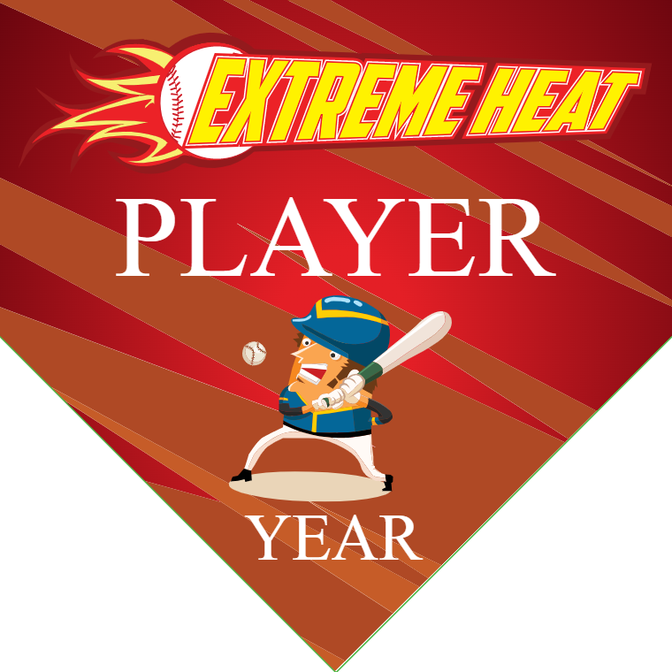 Extreme Heart 4 - Home Plate Softball Pennant