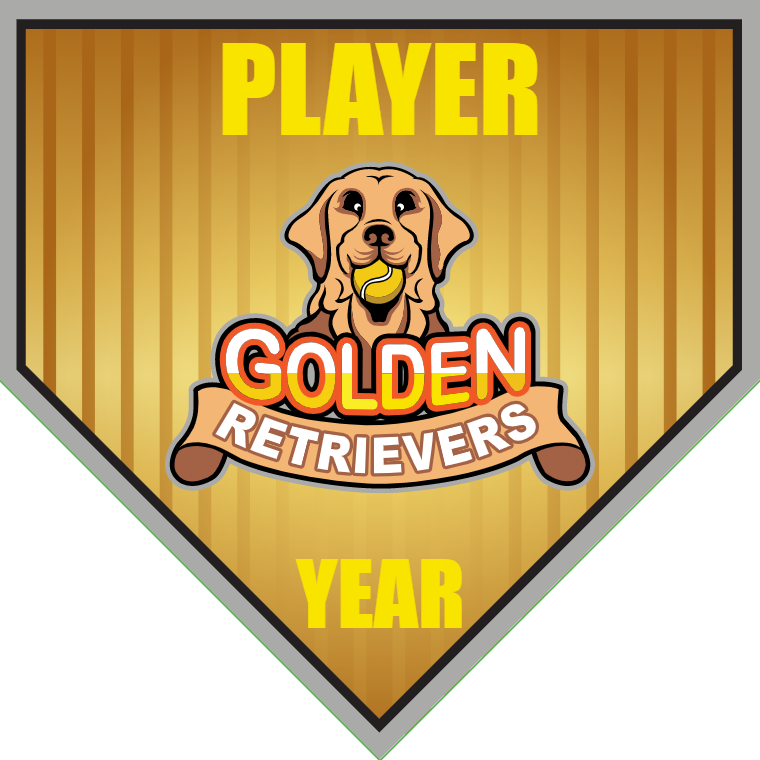 Golden Retrievers 2 - Home Plate Softball Pennant