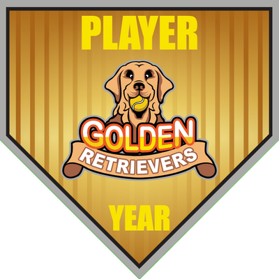 Golden Retrievers 2 - Home Plate Softball Pennant