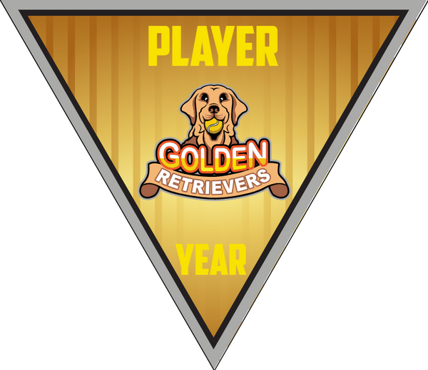 Golden Retrievers 2 - Triangle Softball Pennant