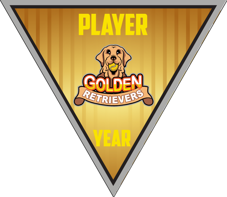 Golden Retrievers 2 - Triangle Softball Pennant