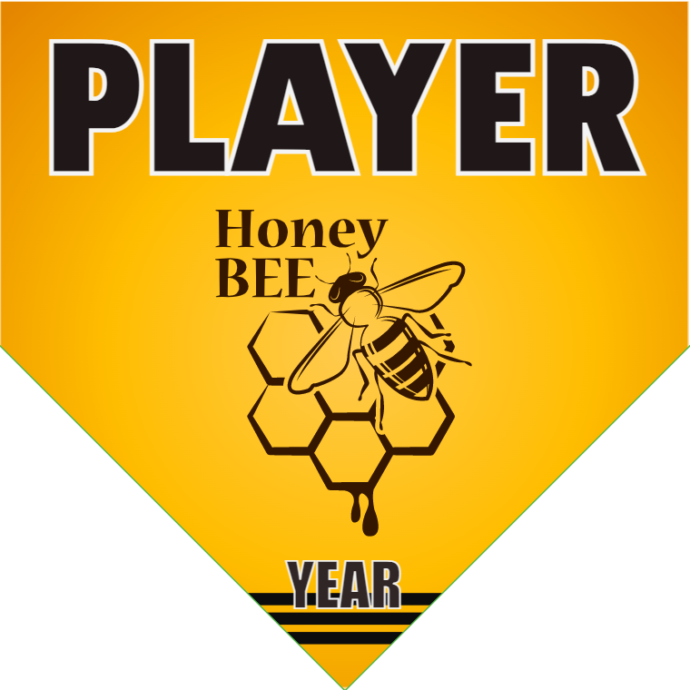 Honey Bee - Home Plate Softball Pennant