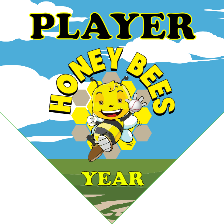 Honey Bees - Home Plate Softball Pennant