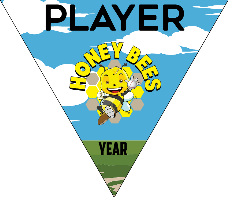 Honey Bees - Triangle Softball Pennant