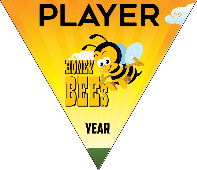 Honey Bees 2 - Triangle Softball Pennant