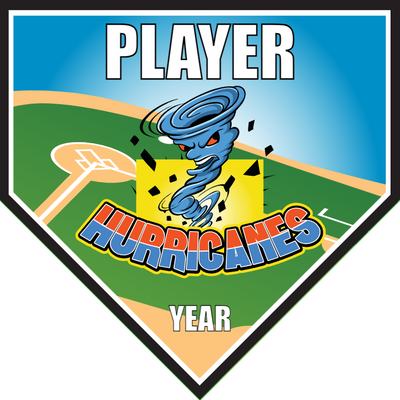 Hurricanes 2 - Home Plate Softball Pennant