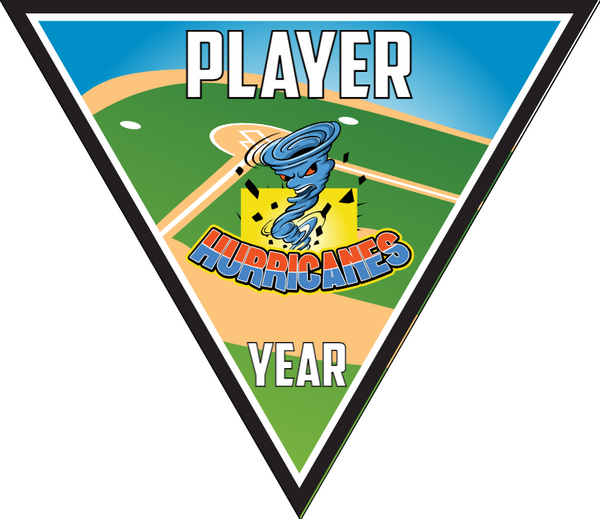 Hurricanes 2 - Triangle Softball Pennant