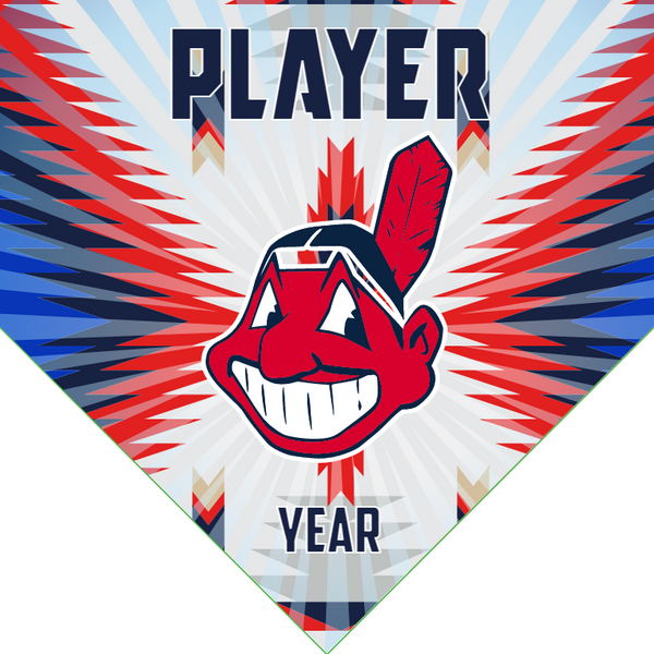 Indians - Home Baseball Banners