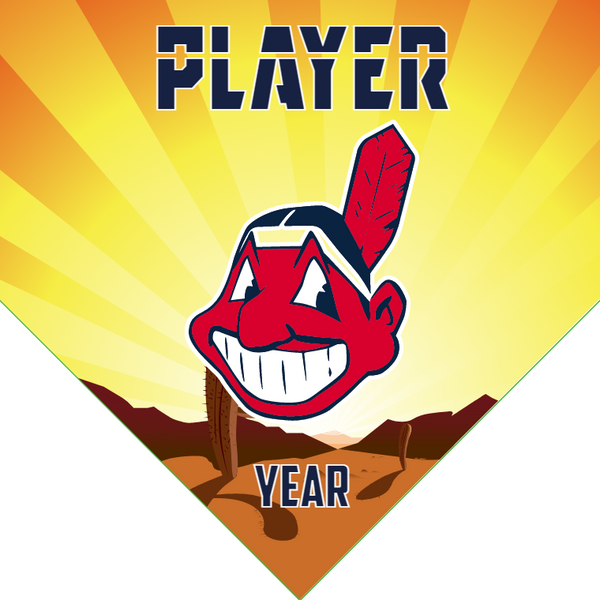 Indians 2 - Home Baseball Banners