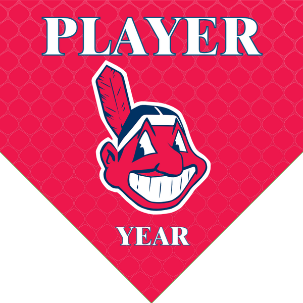 Cleveland Indians 4 - Home Baseball Banners