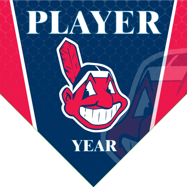 Indians 5 - Home Baseball Banners