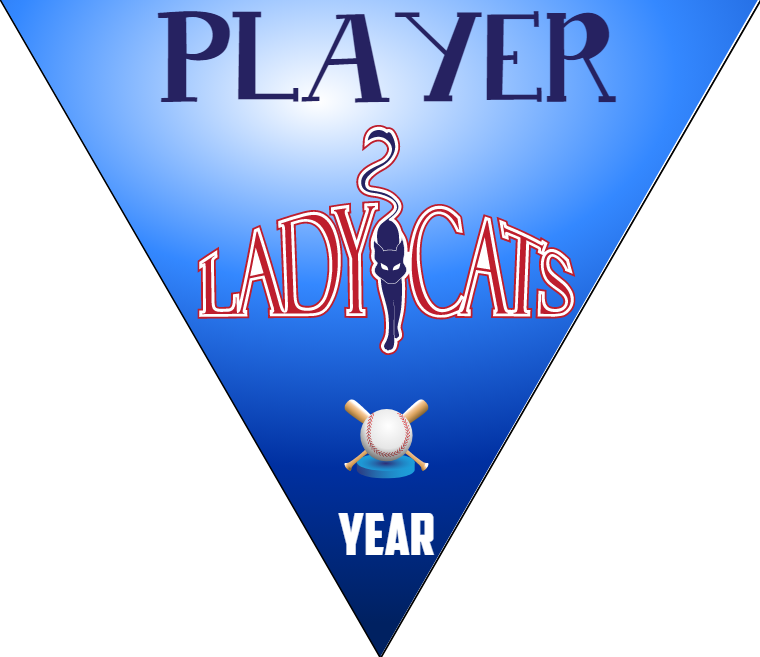 Lady Cats - Triangle Softball Pennant