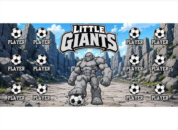 Little Giants Soccer Banner
