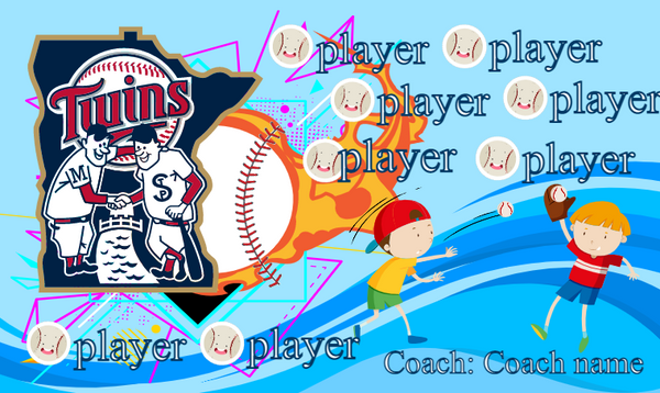 Minnesota Twins 2 - Baseball Banner