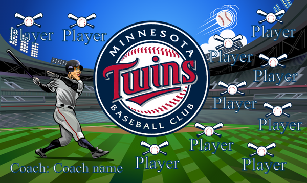 Minnesota Twins 3 - Baseball Banner