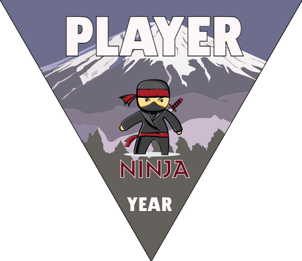 Ninja - Triangle Softball Pennant