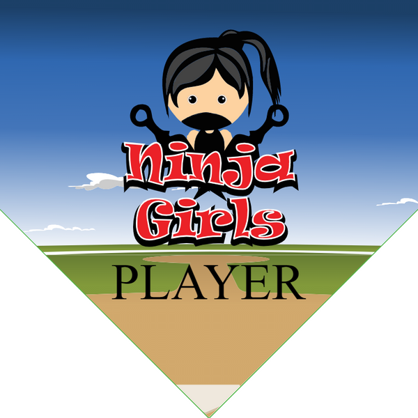 Ninja Girls 2 - Home Plate Softball Pennant