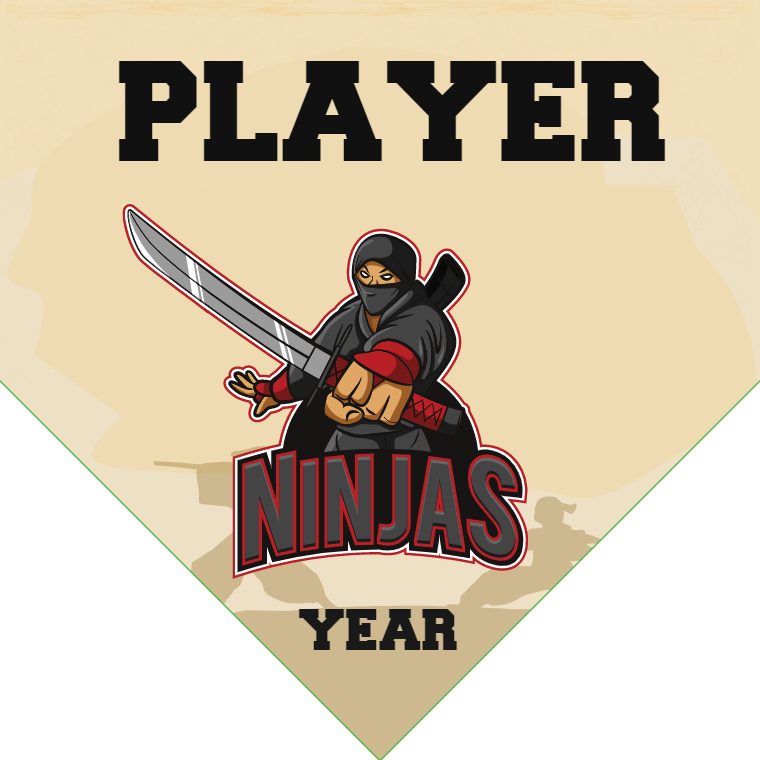 Ninjas - Home Plate Softball Pennant