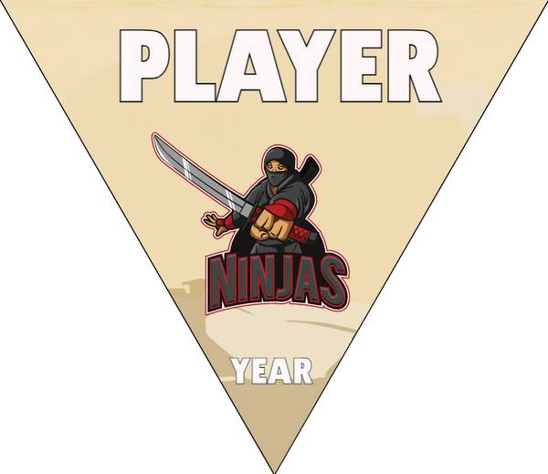 Ninjas - Triangle Softball Pennant