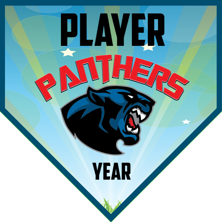 Panthers - Home Plate Softball Pennant