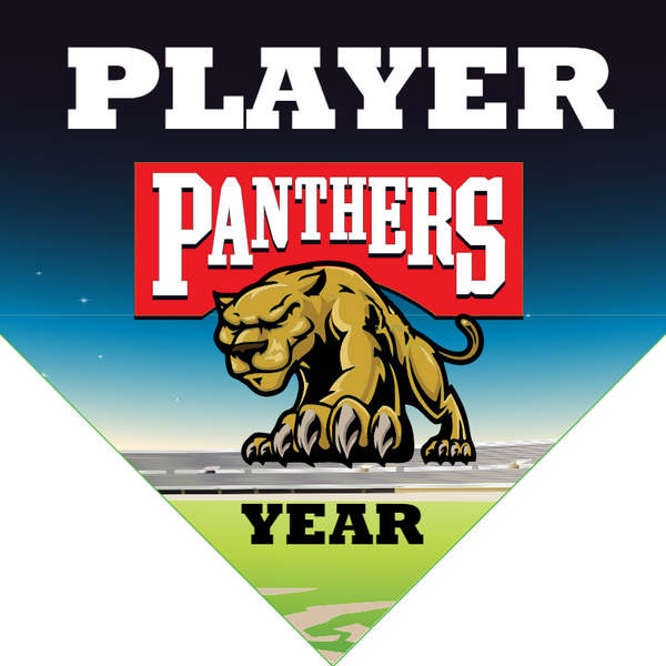 Panthers 2 - Home Plate Softball Pennant