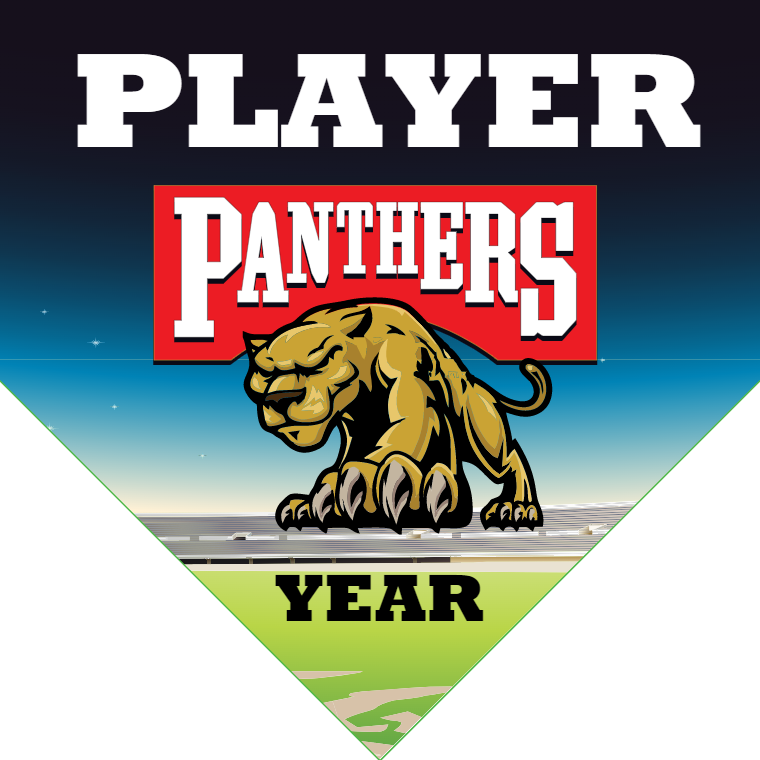 Panthers 2 - Home Plate Softball Pennant