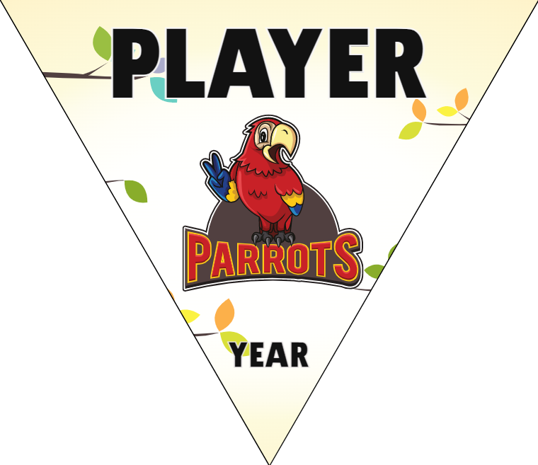 Parrots - Triangle Softball Pennant – Team Sport Banners