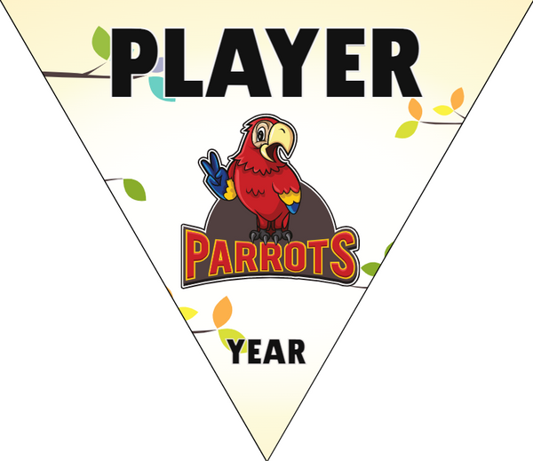 Parrots - Triangle Softball Pennant