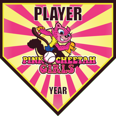 Pink Cheetah Girls 2 - Home Plate Softball Pennant