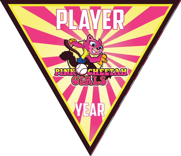Pink Cheetah Girls 2 - Triangle Softball Pennant