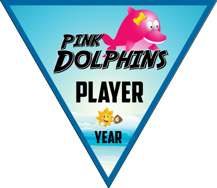 Pink Dolphins - Triangle Softball Pennant