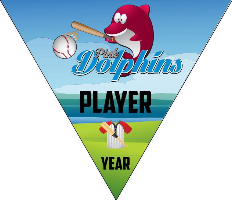 Pink Dolphins 2 - Triangle Softball Pennant