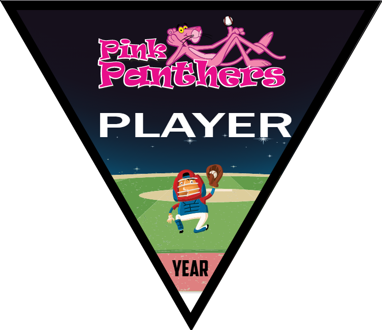 Pink Panthers - Triangle Softball Pennant