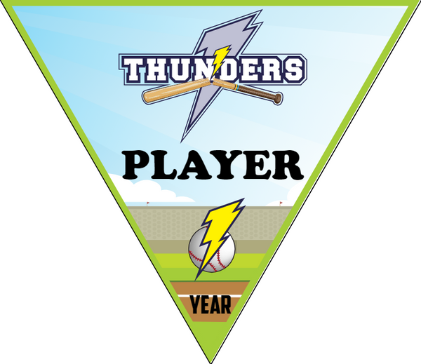 Player - Triangle Softball Pennant