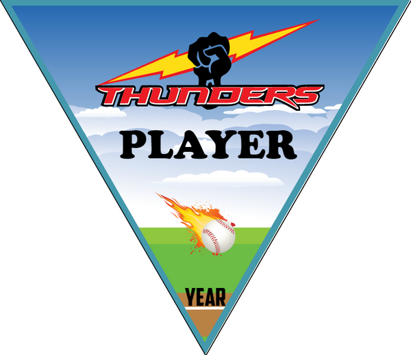 Player 2 - Triangle Softball Pennant