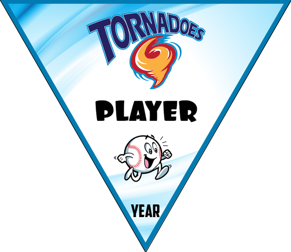 Player 5 - Triangle Softball Pennant