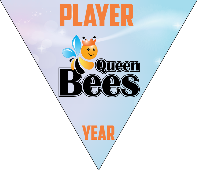 Queen Bees - Triangle Softball Pennant